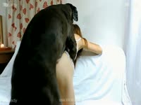 [ Animal Sex Video ] Huge black dog pounded her owner from behind